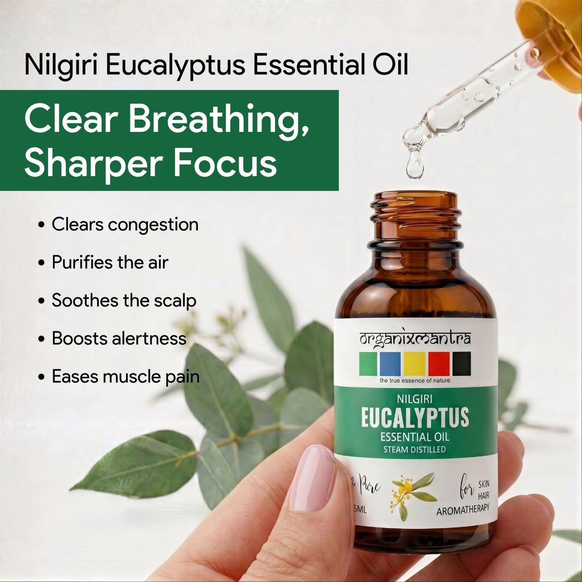 eucalyptus oil benefits and uses