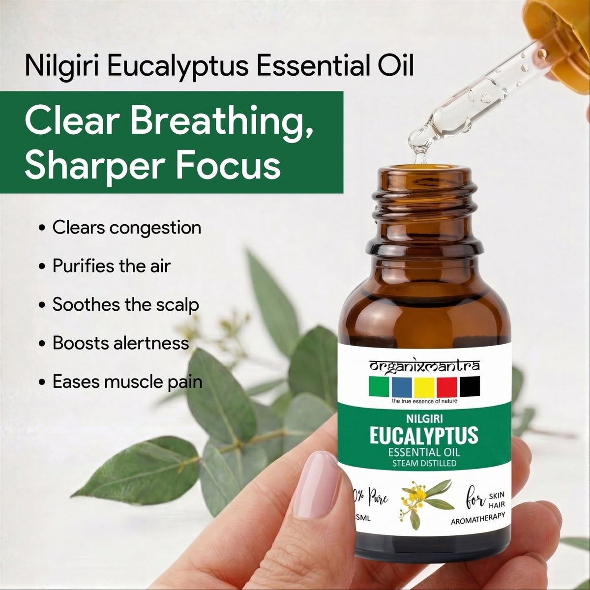 eucalyptus oil benefits uses