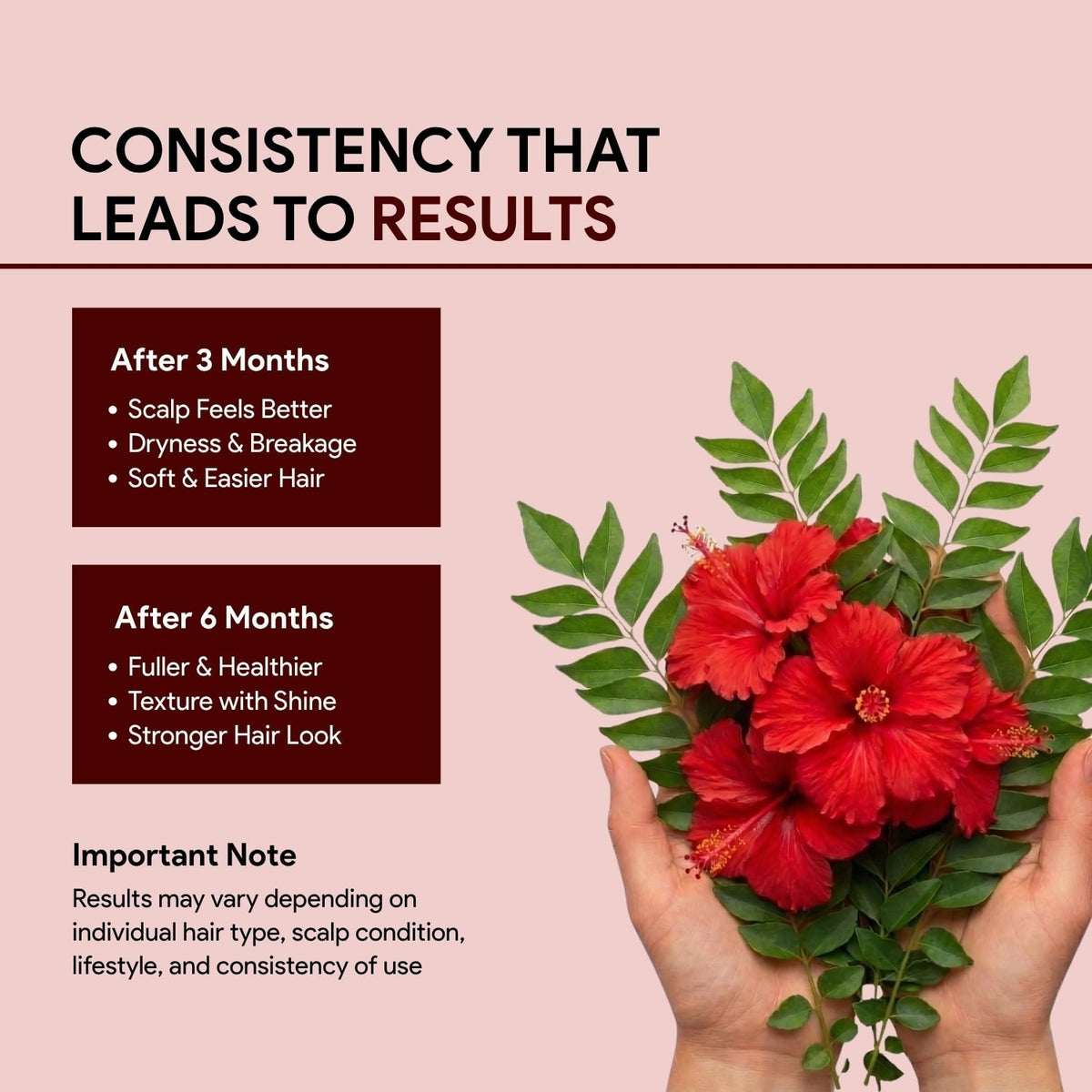 Hands holding hibiscus flowers and curry leaves with three and six month hair care results