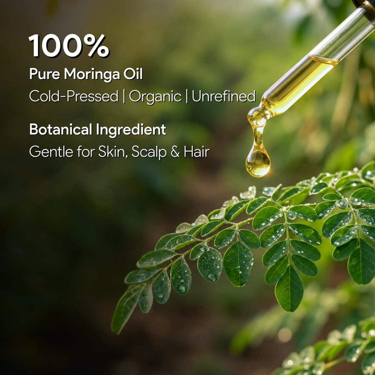 moringa oil cold pressed