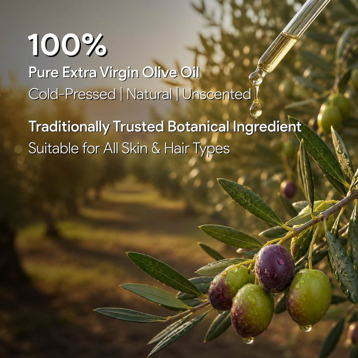 olive oil cold pressed